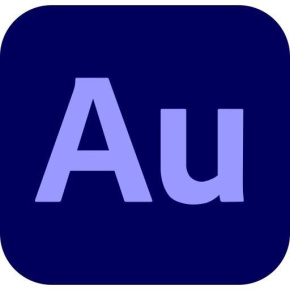 Audition for teams, Multi Platform, Viacero jazykov Government, 1 používateľ, 12 mesiacov, Level 2, 10 - 49 Lic