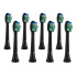 TrueLife SonicBrush Compact Heads Black Standard 8 Pack