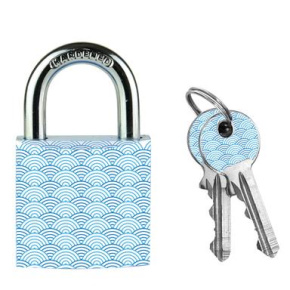 Master Lock Visací zámek  z pevného hliníku 3430EURDWAVE - 30mm