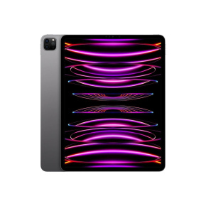 APPLE iPad Pro 11" Wi-Fi + Cellular 2TB nanotextura - Silver 2024