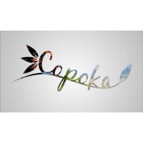 Copoka (PC) klíč Steam Copoka (PC) klíč Steam