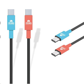 SW2C001 / NSW2 HW FaG Charging Cable for Controller SW2C001 / NSW2 HW FaG Charging Cable for Controller