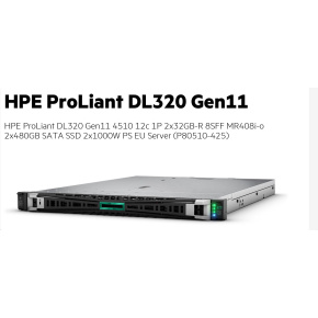 HPE PL DL320g11 4510 (2.4/12C) 2x32G (p64706) 2x480G (P40497) MR408i-o 8SFF 2x1000W 2x1Gb Smart Choice