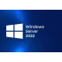 HPE Windows Server 2022 Essential Edition 1CPU 10 cores CZ (en/pl/ru) OEM