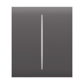 Ajax  CenterButton (2-gang) - Středové dvou tlačítko, šedá