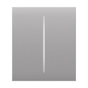 Ajax  CenterButton (2-gang) - Středové dvou tlačítko, mlhová